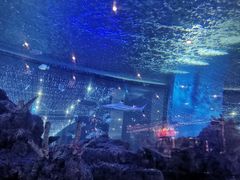 -胡桃里乐队酒馆(鎏嘉码头店)