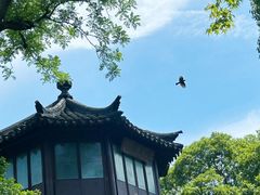 -拙政园