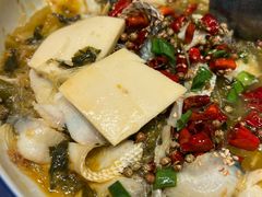 -金春禧(英雄山路旗舰店)