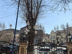 -南山鲜虾面·活鲜小馆·海味大连菜(南山总店)