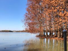 -上海海湾国家森林公园