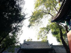 -北京国子监胡同