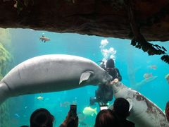 -澳门环岛游湾仔码头