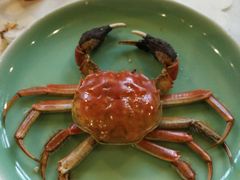 -梧桐花园餐厅(新城店)