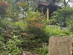 -西湖风景区十里琅珰-五云山