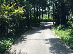 -崇明东平国家森林公园烧烤房车露营地