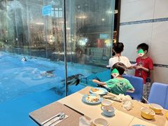 -帝企鹅自助餐厅•儿童岛•真企鹅(长隆企鹅酒店)