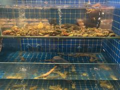 -健眺小海鲜(临海后山店)