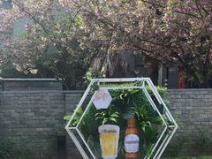 -西安高新希尔顿酒店·咖啡露台西餐厅