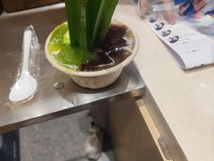 -炖物24章·顺时轻养茶(黄龙店)