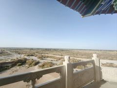-金塔沙漠胡杨林景区