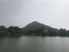 -桃花岛景观公园