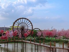 -光明小镇欢乐田园