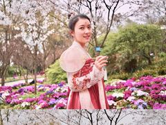-南山植物园