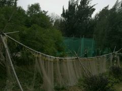 -北海金海湾红树林生态旅游区