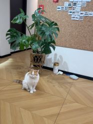 -沫儿·美甲美睫·半永久·皮肤管理