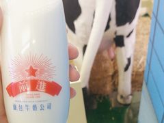 -红星前进面包牛奶公司(君太店)