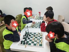 -常青藤国际象棋(新奥店)