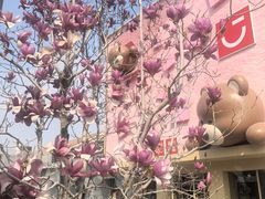 -斯普瑞斯奥特莱斯