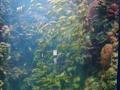 -海合安青岛极地海洋公园