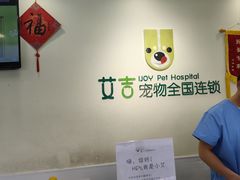 -艾吉宠物医院·疑难杂症转诊中心·猫友好(碧江路院)