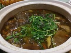 -杨记山珍鸡煲菌汤锅