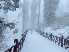 -瓦屋山景区