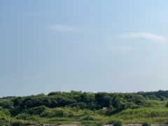 -绿堤公园