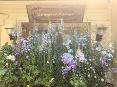 -Lamant Manor已闻花名关於蓝