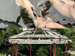 -江门古兜温泉小镇