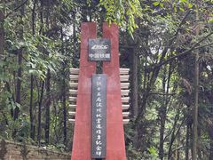 -四川汶川特大地震漩口中学遗址