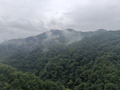 -栾川竹海野生动物园