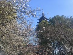 -常熟方塔园
