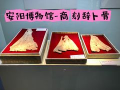 -安阳博物馆