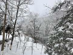 -神农架景区