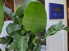-听香·678茶铺(猛追湾店)