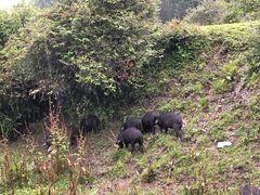 -硗碛藏寨·神木垒景区