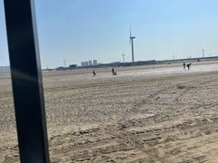-启东黄金海滩景区