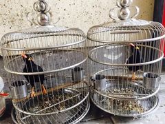 -三岔涧农家乐