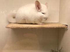 -龙猫仔乐园(惠福东路店)