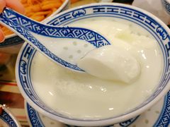 招牌姜撞奶-捷信牛奶甜品世家(五道口店)