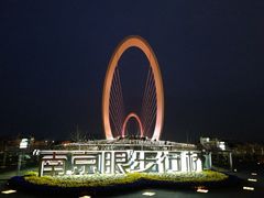 -南京眼步行桥