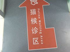 -申普宠物医院·心脏介入·心血管微创(总院)
