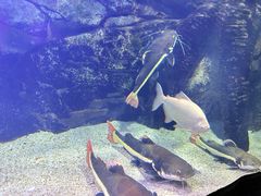 -泉城欧乐堡海洋极地世界