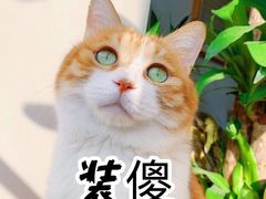 -眷茶(大卫城10楼店)
