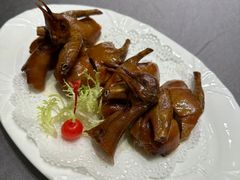 -骏莱海鲜鱼港(五角场店)