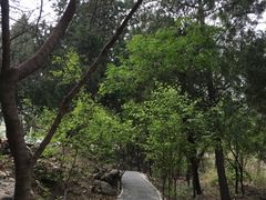 -阳台山自然风景区