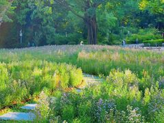-深圳国际园林花卉博览园