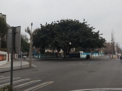 -四川大学(望江校区)