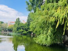 -厦门大学(思明校区)